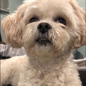 Meet your Posher, Timothy